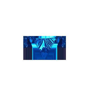 Trapstar Womens Hyperdrive Metallic Bikini Tie Side Bottoms 青 | TS-65084